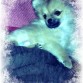 tedy con 6 meses es mi muñequito